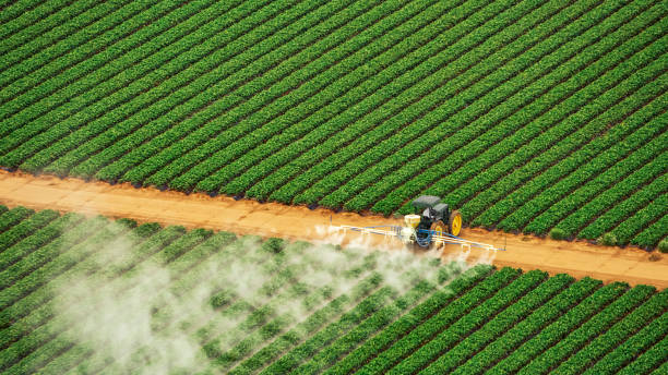 Best Affordable Exterminators  in Lamar, CO