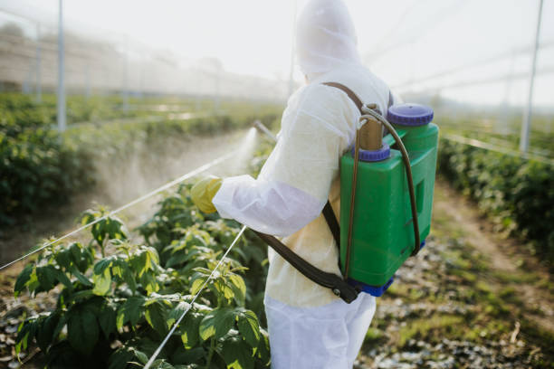 Best Wasp Removal Services  in Lamar, CO